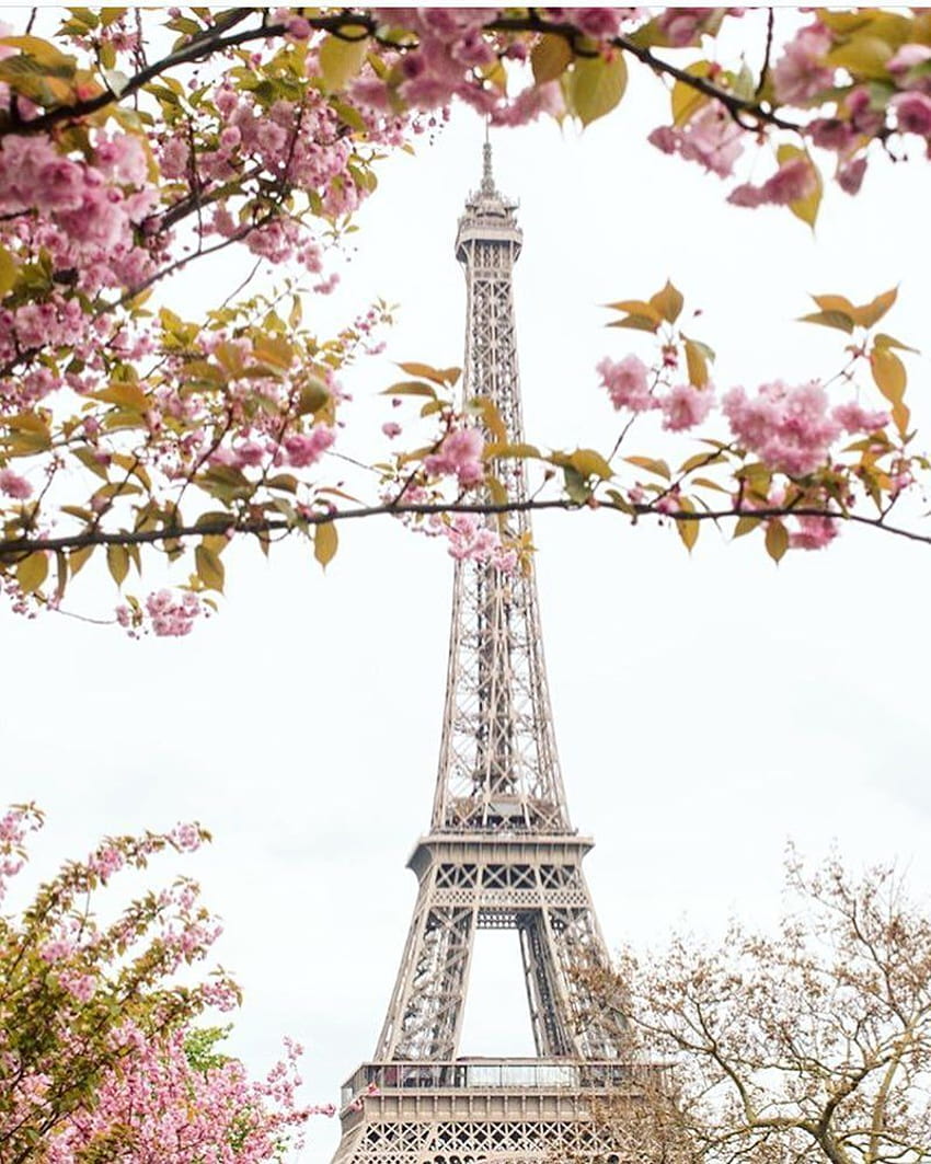 Bonjour to our favorite Iron Lady, eiffel tower spring art HD phone wallpaper