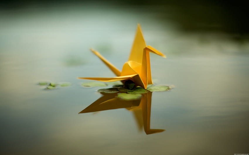 Brown swan origami, origami, paper cranes, reflection, water, animal origami HD wallpaper