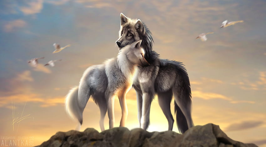 chibi wolf couple