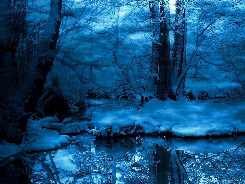 Winter Night Forest Blue, good night forest HD wallpaper