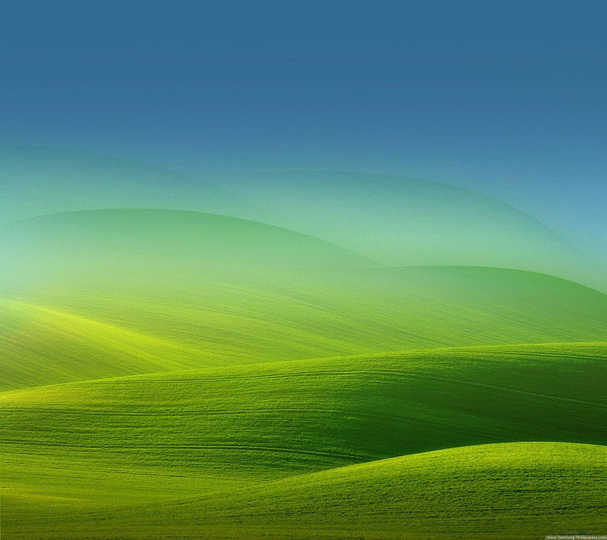 Schermata di blocco dell'erba verde 1440x1280 Samsung Galaxy S3, cellulare Samsung Galaxy S3 Sfondo HD
