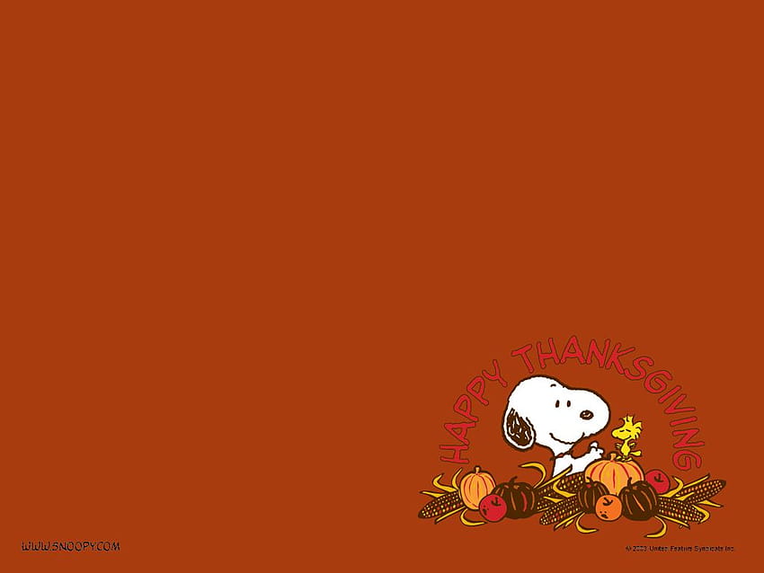 snoopy charlie brown film komputerowy halloween [1024x768] na twój , telefon komórkowy i tablet, halloweenowe orzeszki ziemne Tapeta HD