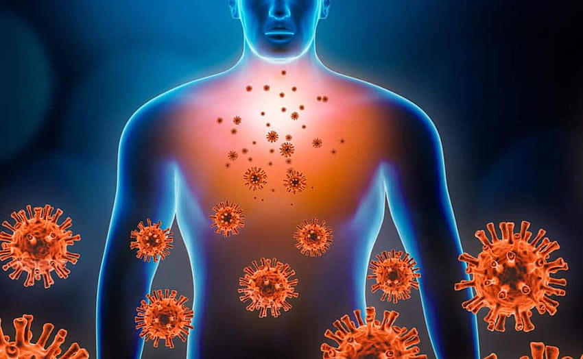 Como sabemos se temos um sistema imunológico fraco? papel de parede HD