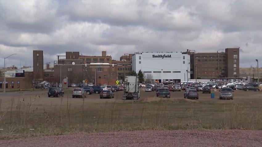 293 人の従業員がコロナウイルスの陽性反応を示した後、サウスダコタ州の大きな食肉工場が閉鎖されました。彼らは駐車場に牛肉を欲しがっています。 高画質の壁紙