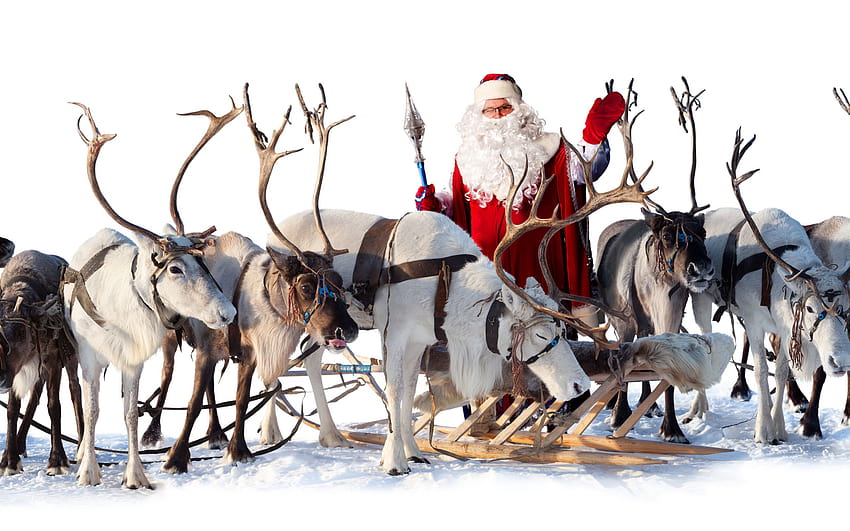 santa, Claus, Reindeer, Sleigh / and Mobile Backgrounds, winter sleigh HD wallpaper