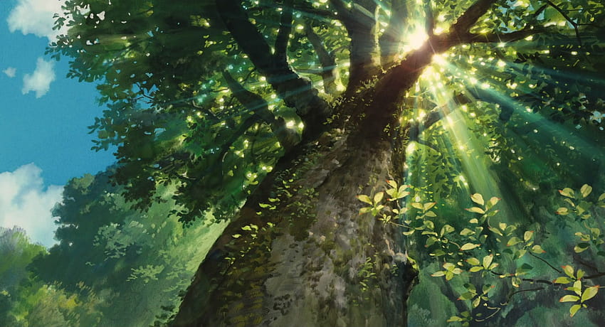 Sceneria Zielona Anime, drzewo anime Tapeta HD
