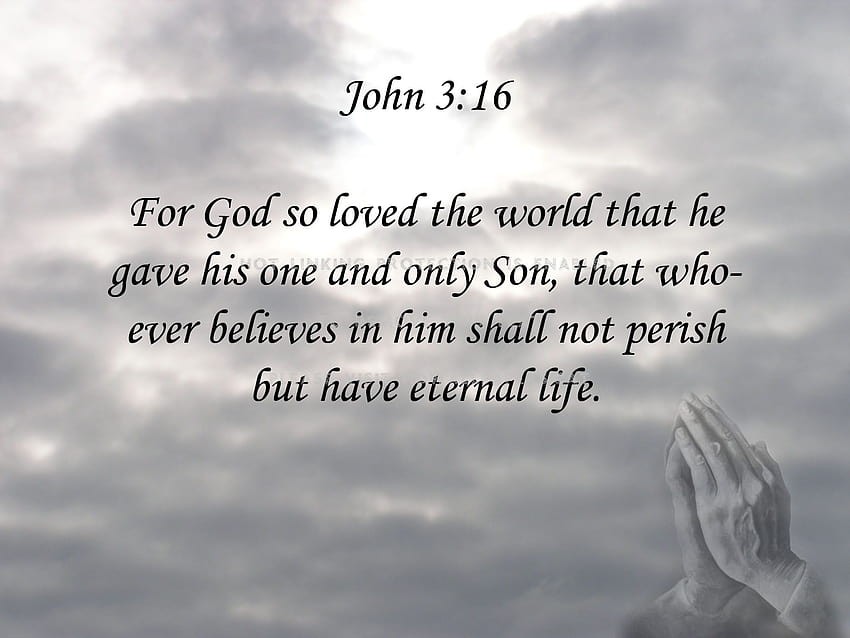 John 3 16 , & backgrounds HD wallpaper | Pxfuel