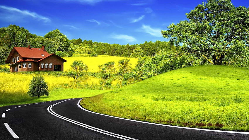 Zielona I żółta Zakrzywiona Droga, wycieczka samochodowa Tapeta HD