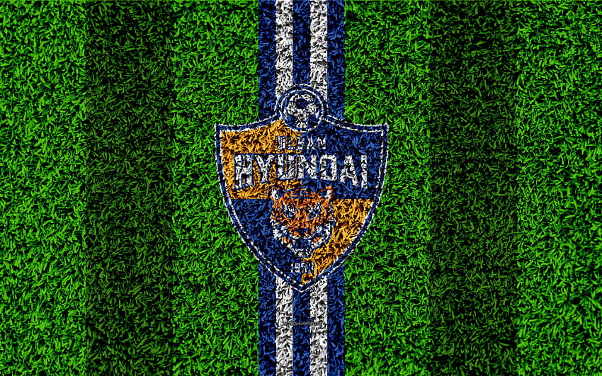 Ulsan Hyundai FC, logo, grass texture, South HD wallpaper