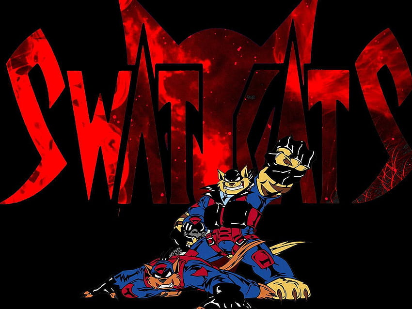 Swat-Katzen HD-Hintergrundbild