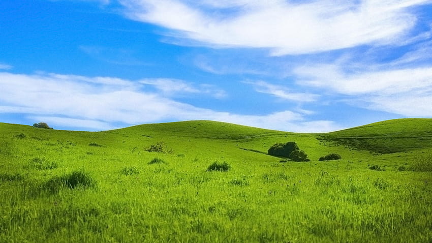 Natur, Grünland, Feld, im Freien, Landschaft, in der Größe geändert von, Landschaft mit Grasfeldern HD-Hintergrundbild