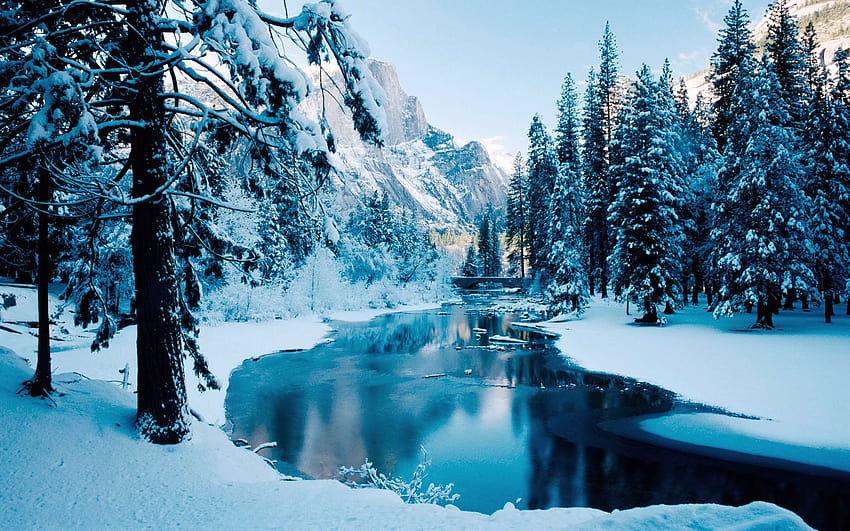 冬、雪、川、森、反射 / およびモバイル背景、冬の雪の川 高画質の壁紙