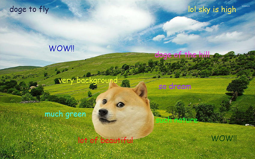 Doge di Get, komputer meme Wallpaper HD