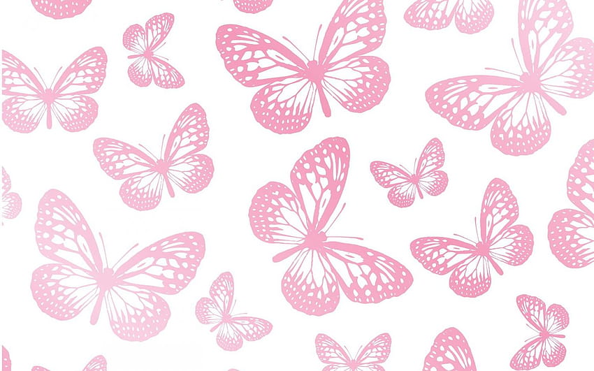 Latar Belakang Kupu-Kupu Merah Muda ... afari, kupu-kupu merah muda estetika yang lucu Wallpaper HD