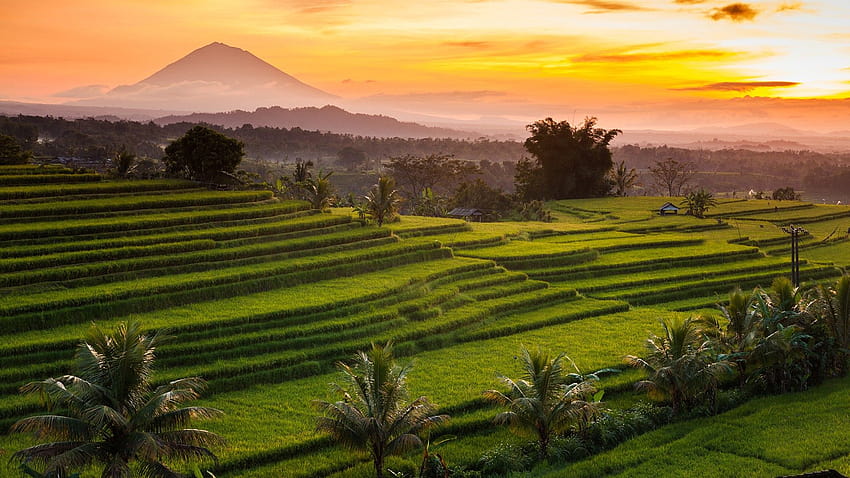 : natura, paesaggio, montagne, alberi, campo, cielo, tramonto, nuvole, vista da lontano, Rice Terrace, Bali, Indonesia 1920x1080, vista del campo di riso Sfondo HD