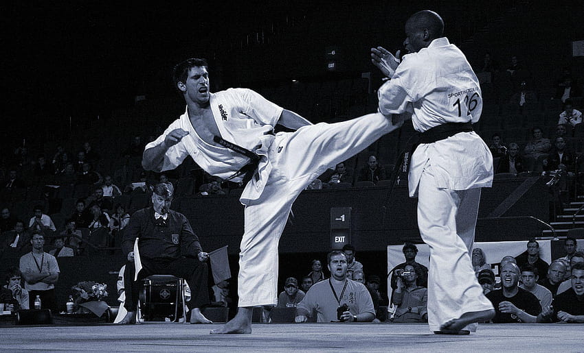 Self defense martial arts for the uninitiated, karate kyokushin HD wallpaper  | Pxfuel