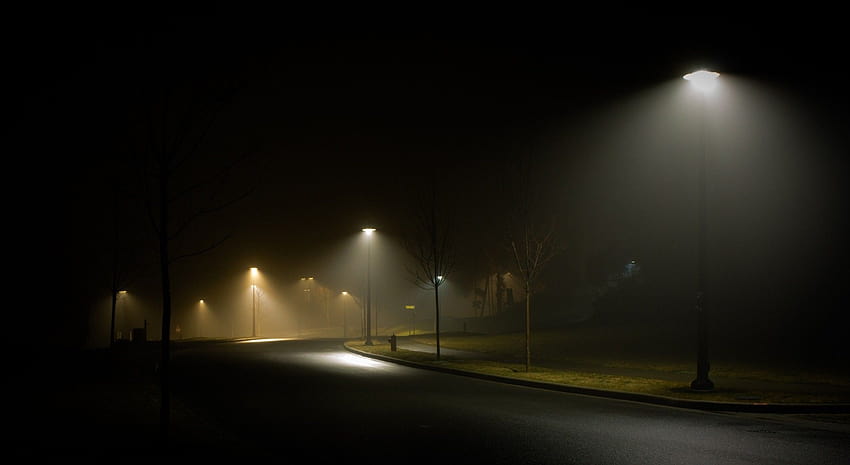 kraj, przyroda, ulica, noc, latarnia uliczna, mgła, trawa, pusta ulica Tapeta HD