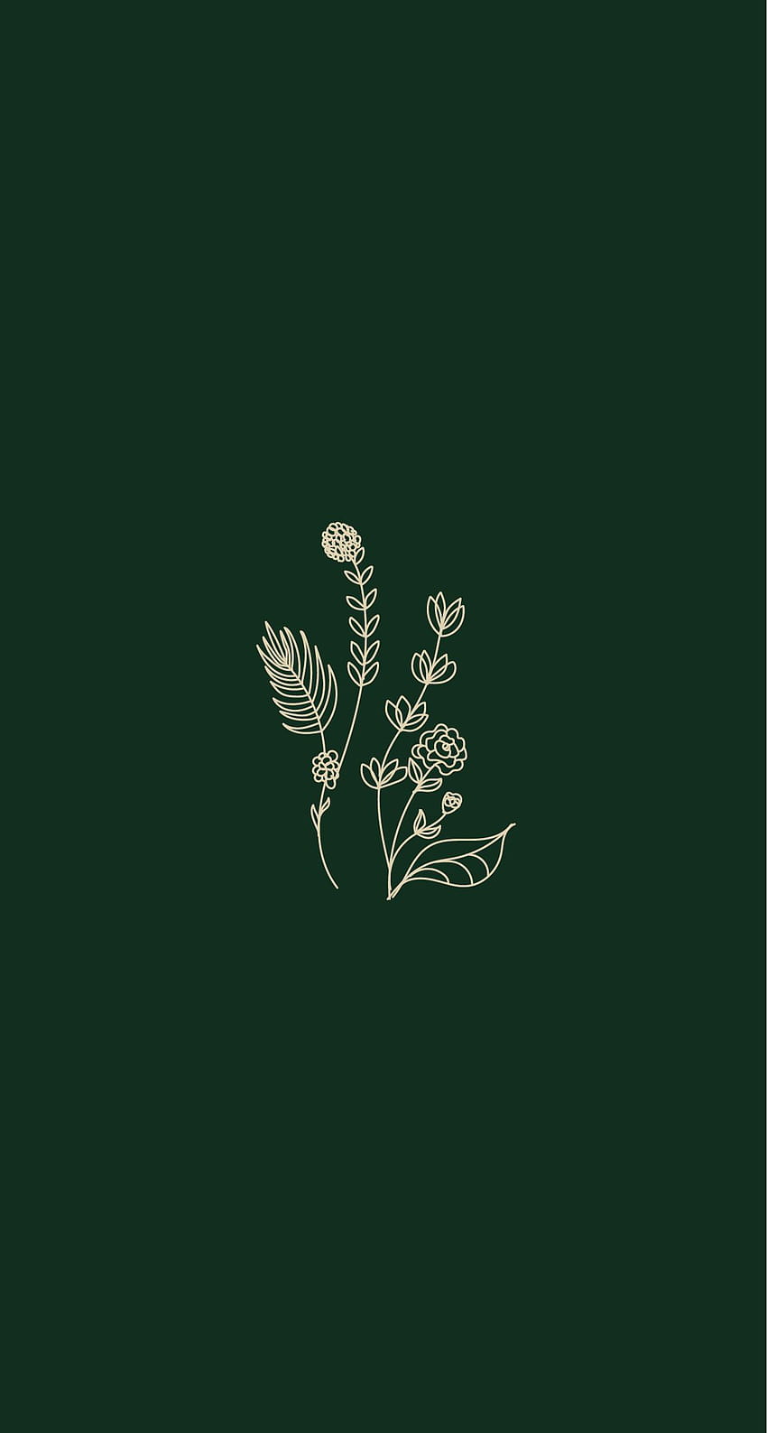 140 Phone Aesthetic ideas in 2021, olive green aesthetic HD phone wallpaper