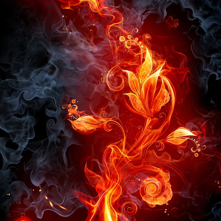 Огнено цвете, цвете в огън HD тапет за телефон