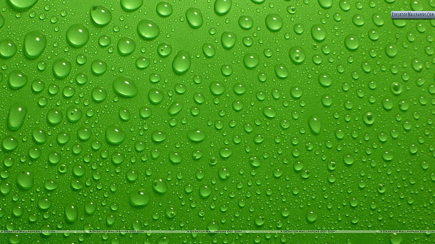Drops On Green Backgrounds, background hijau HD wallpaper