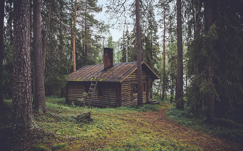 This Impressive Tiny House Interior Design Will Teach You How to Make Small  Spaces Feel Larger