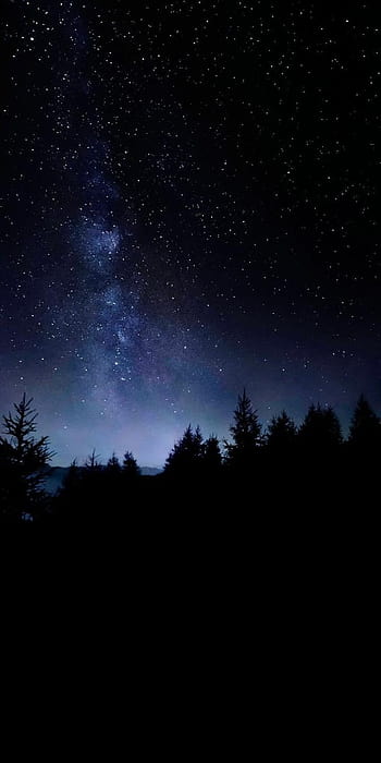 HD wallpaper night sky starry sky stars glitter trees astronomy star   Space  Wallpaper Flare