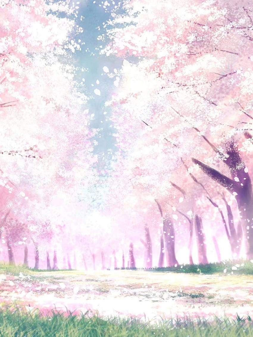 1536x2048 Anime-Landschaft, Frühling, Kirschblüte, Sakura-Blüte, Bäume, Pfad für Apple iPad Mini, Apple IPad 3,4, Frühlingslandschaft Anime HD-Handy-Hintergrundbild