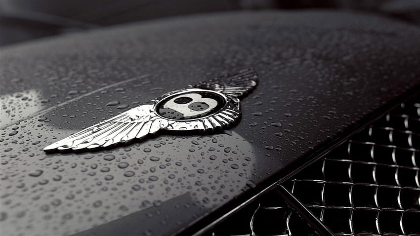 Bentley Logo , car logo HD wallpaper