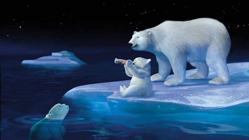 Zendha: Coca Cola Polar Bear หมีขั้วโลกคริสต์มาส วอลล์เปเปอร์ HD