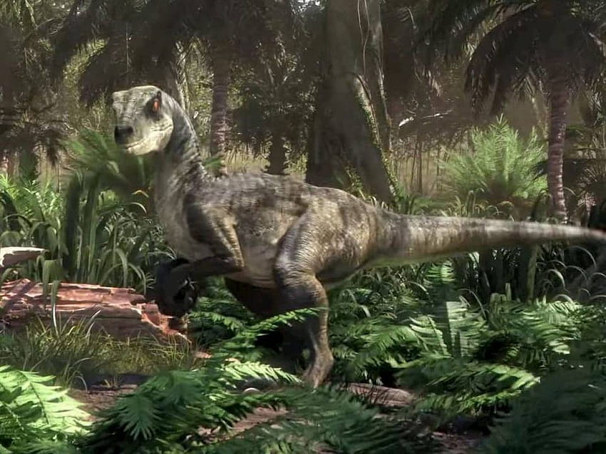 Jurassic World: Camp Cretaceous Season 1: Release Date, Trailer, Plot, and Details, jurassic world camp cretaceous season 3 HD wallpaper