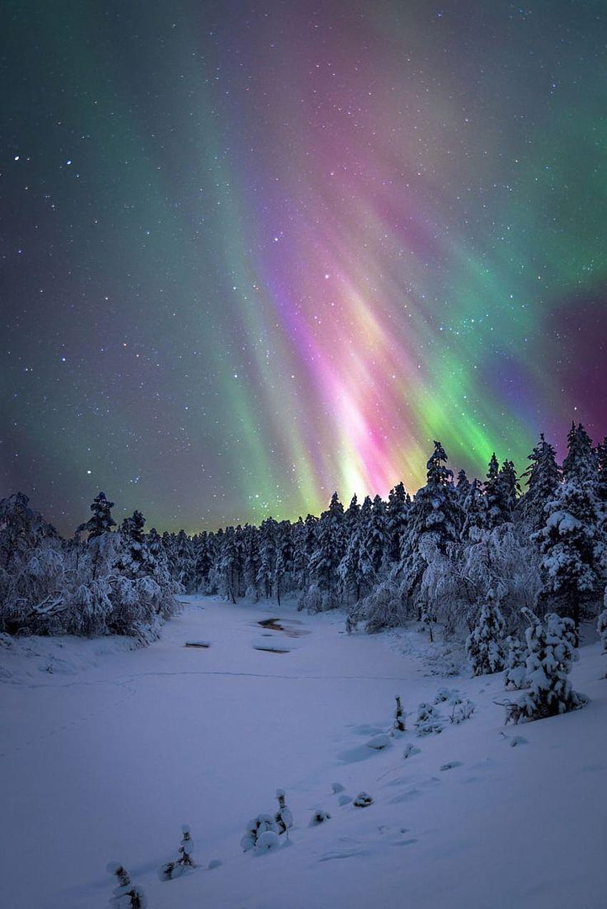 오로라, 북극광 핀란드 HD 전화 배경 화면