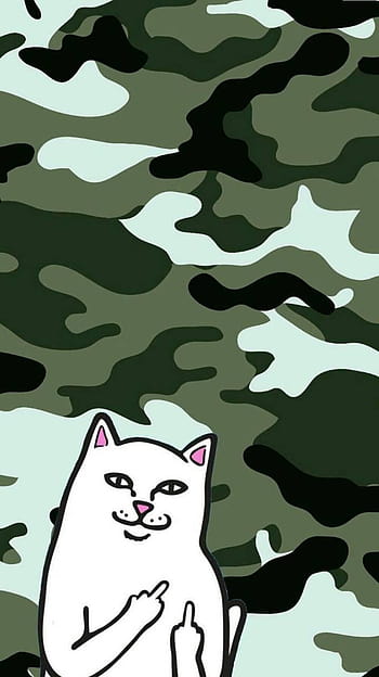 Ripndip Cat By Wolkoy Hd Wallpapers Pxfuel