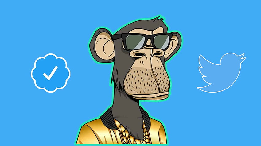 Twitter에서 공식적으로 검증된 NFT 프로필인 nft Monkey 출시 시작 HD 월페이퍼