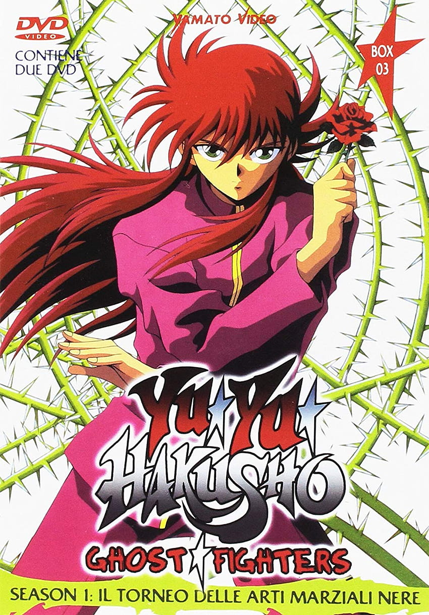 Yu Yu Hakusho Fight for the Netherworld 1994  IMDb