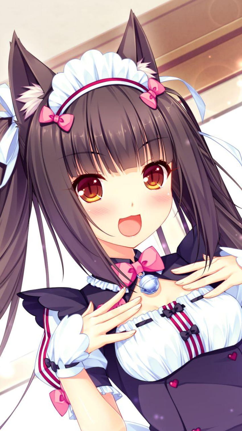 Nekopara Hd Wallpaper Background Image 1920x1080 Id