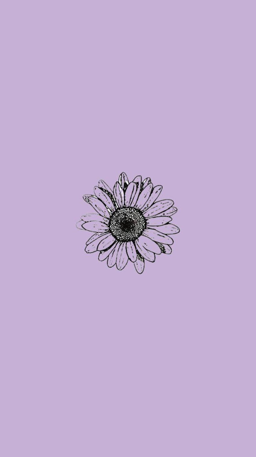 Violett, lila vsco HD-Handy-Hintergrundbild
