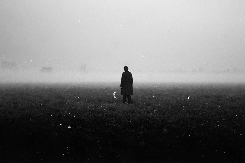 505280 5000x3333 fog, mist, field, creepy, person, black and white, Public domain , solitude, horror, eerie, alone, grass, creepy people HD wallpaper