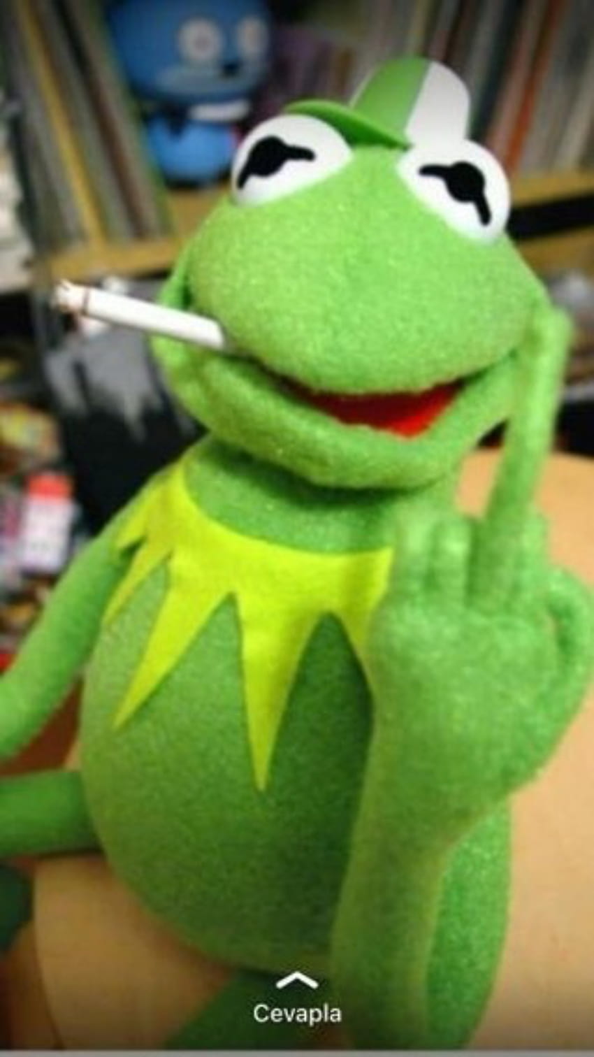 Kurbağa Kermit panosundaki Pin HD telefon duvar kağıdı