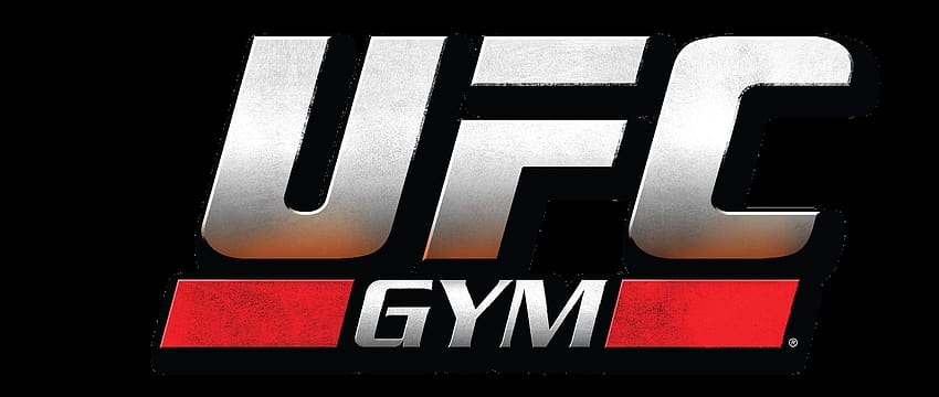 UFC mma martial arts logo poster g, mma logo HD wallpaper