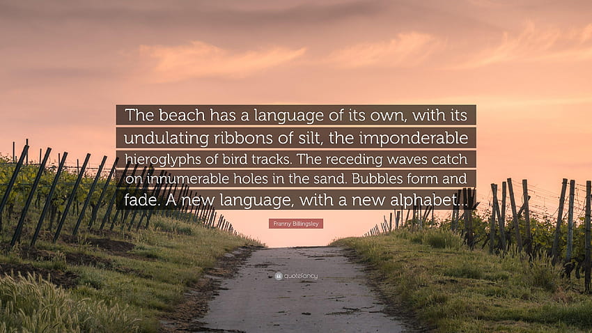 Franny Billingsley Quote: “The beach has a language of its, silt HD wallpaper