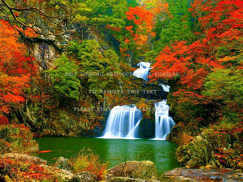 Autumn falls forest nature waterfalls HD wallpaper Pxfuel