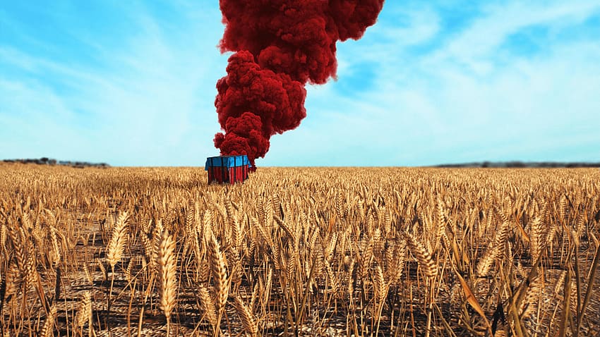 pubg, wheat field, red smoke HD wallpaper