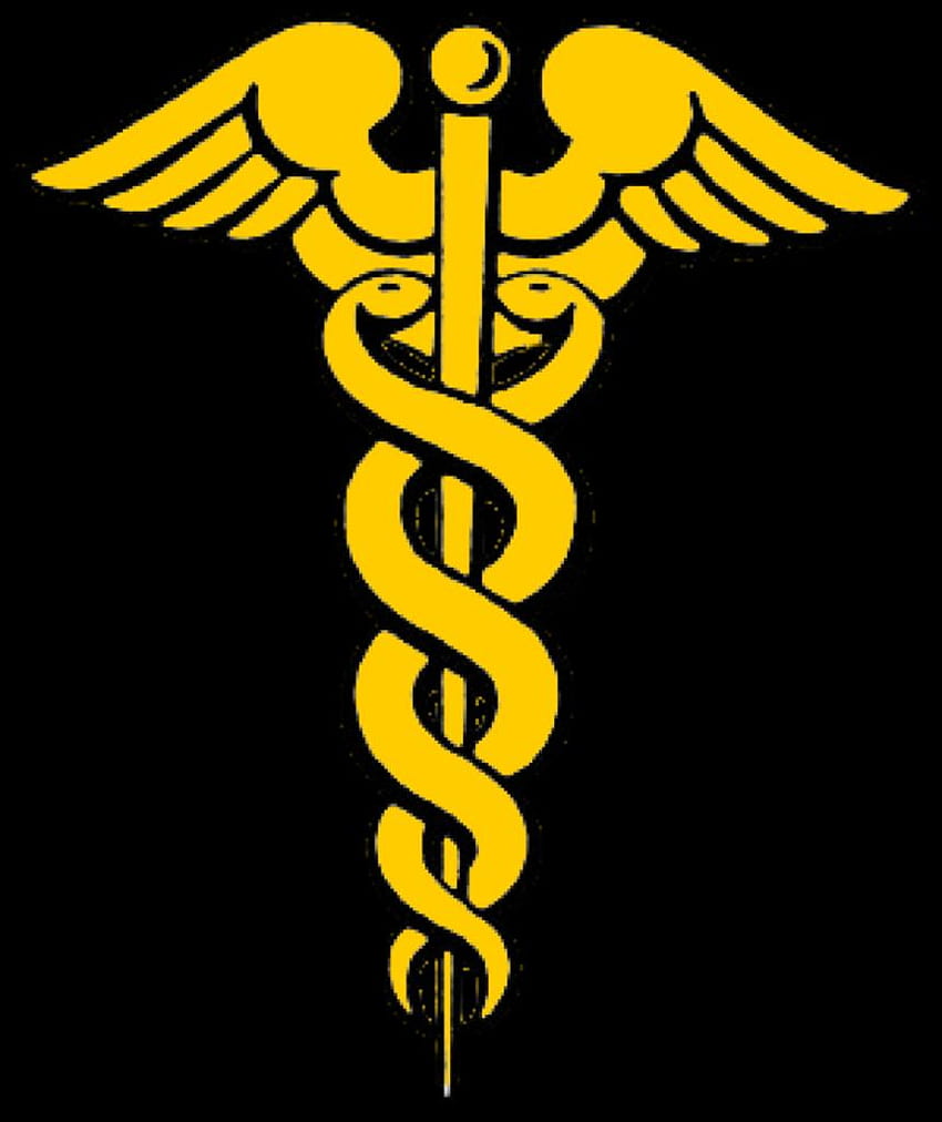 Medicine Symbol on Dog .dog, caduceus HD phone wallpaper