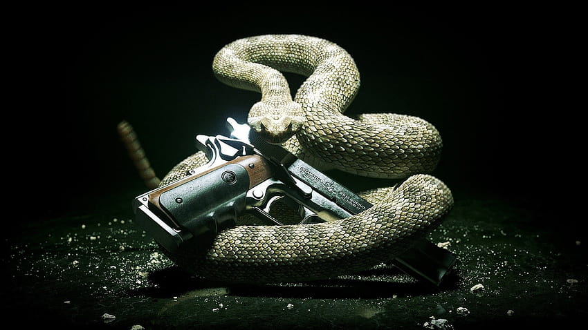 Snake And Gun HD wallpaper | Pxfuel