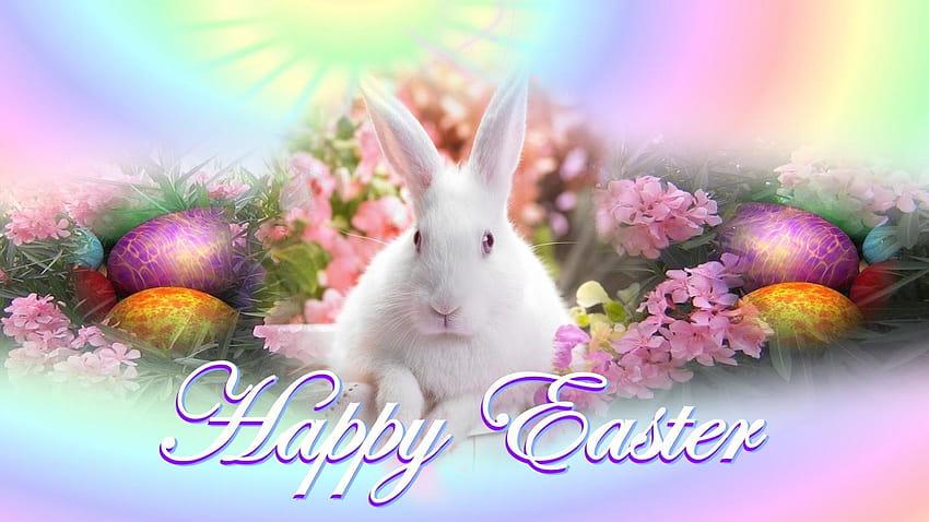 Happy Easter Day, easter is on the way HD wallpaper