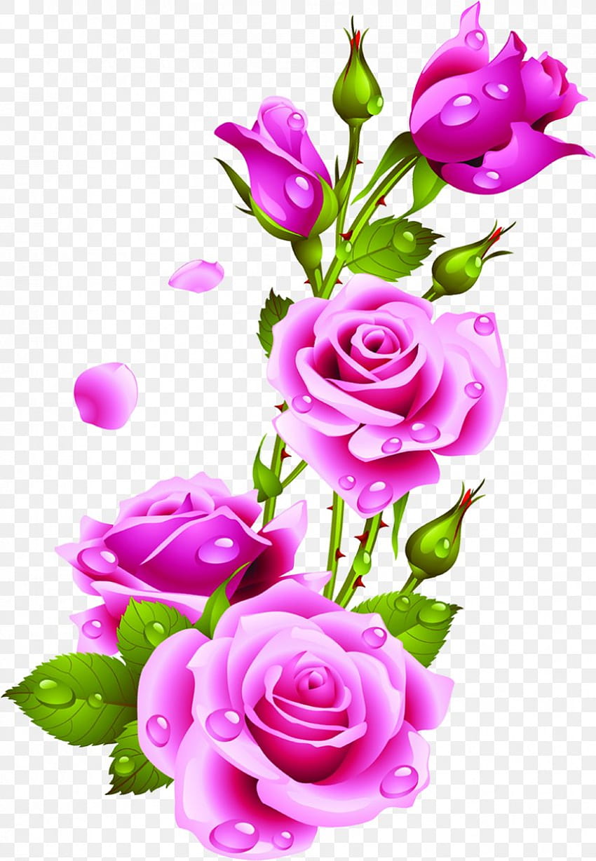 Clip Art Rose Flower, PNG, 830x1200px, Rose, Fleur artificielle, Blog, Fleurs coupées, Floral, plante rose Fond d'écran de téléphone HD