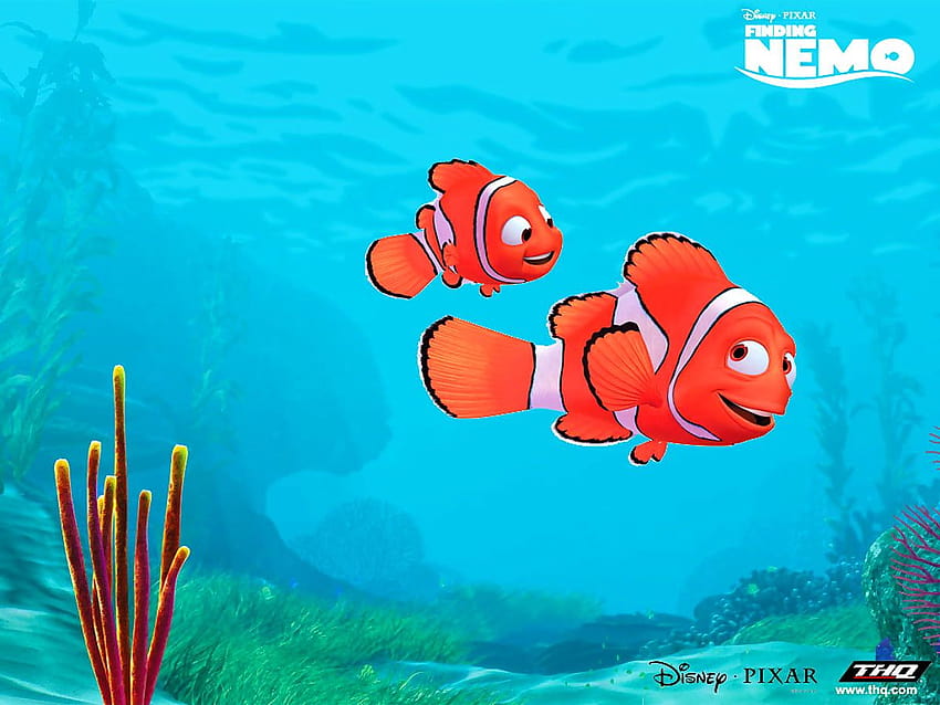 ปลาแอนนีโมเน่สุดเจ๋ง Finding Nemo ...wallpapic ปลานีโม วอลล์เปเปอร์ HD