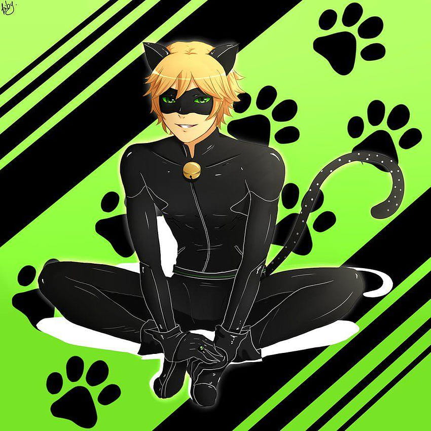 Miraculous Ladybug] Chat noir by Biby HD phone wallpaper