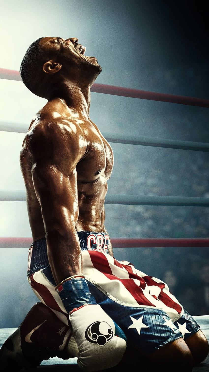 61 Boxing Wallpapers HD