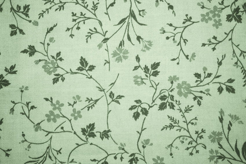 Sage Green, aesthetic sage computer HD wallpaper